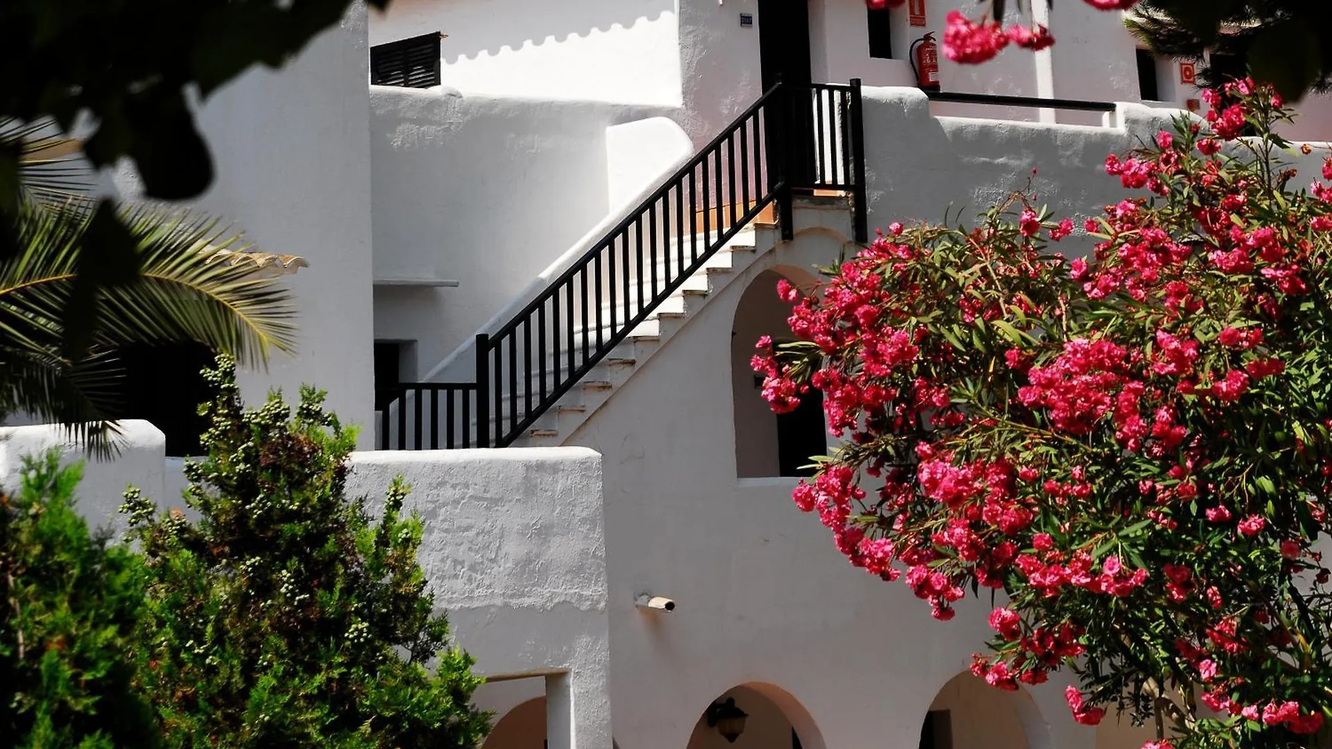Hotel Palia Dolce Farniente 3 Sup Cala d'Or  3*, Cala d'Or (Mallorca)